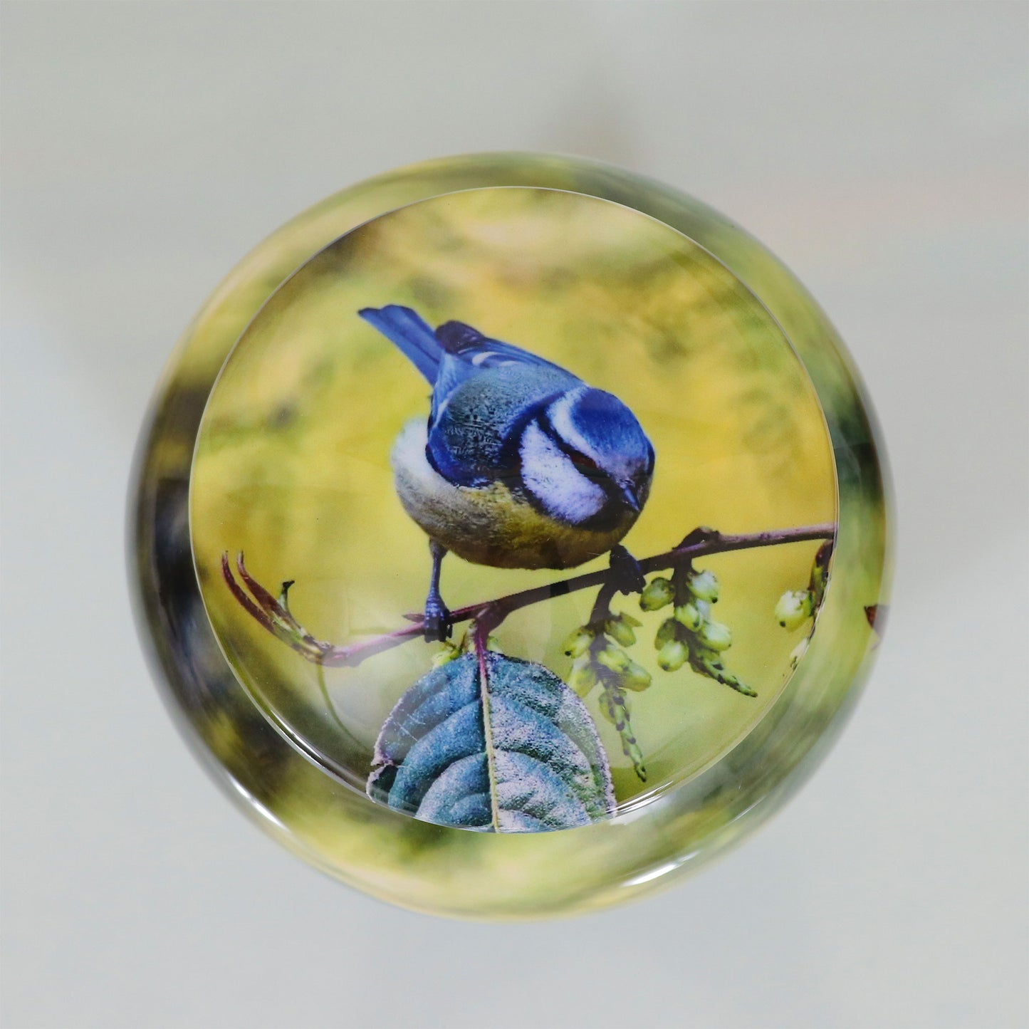 Adult Cremation Urn Blue Bird Perched On Branch Design with Velvet Bag (Product Code: NUBO-A)