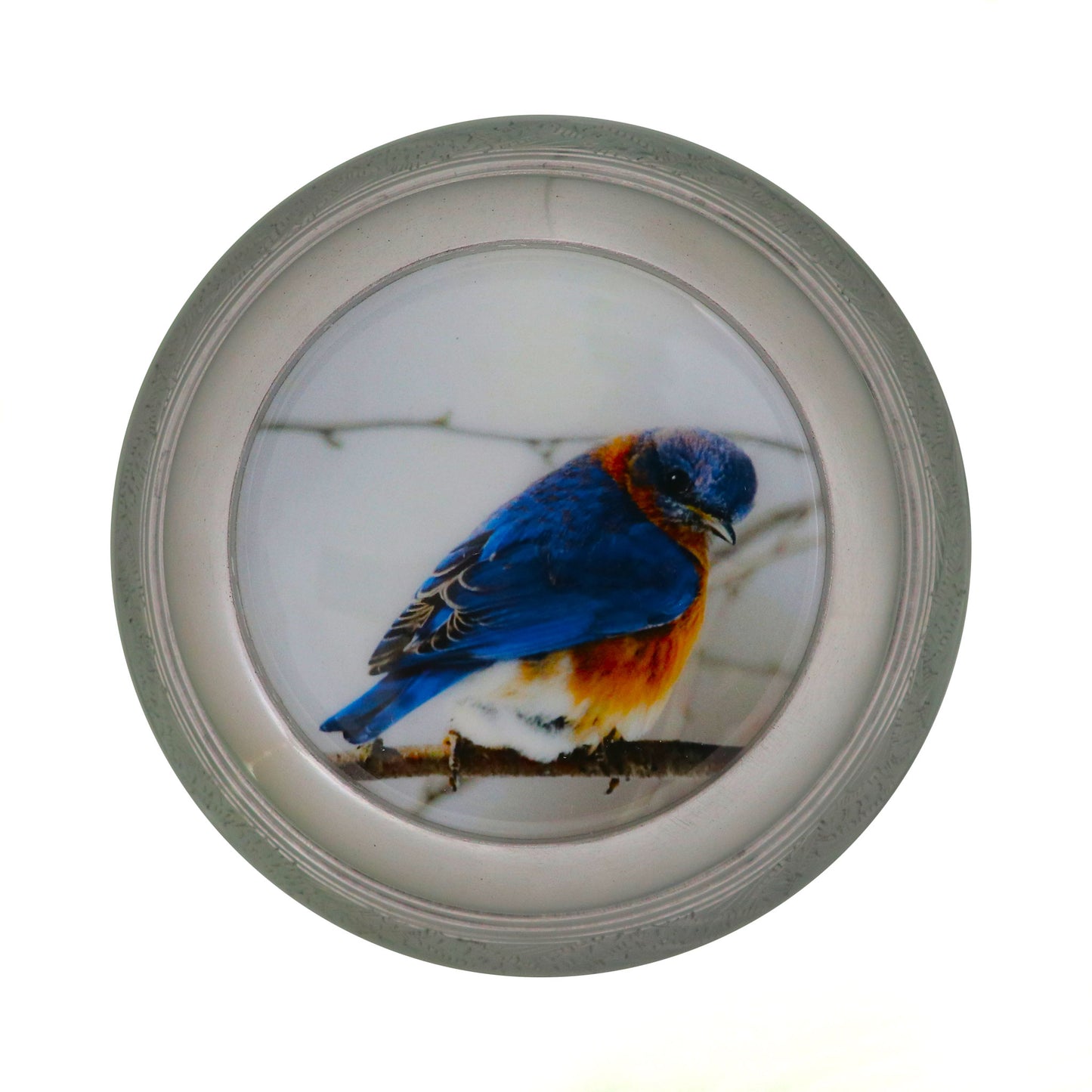 Adult Cremation Urn Blue and Brown Bird Design (Product Code NUBT-A)